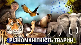 Тварини всього світу. Різноманітність живих організмів. Все про тварин