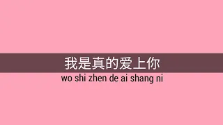 Divazhuang ~ 我是真的爱上你 Wo Shi Zhen De Ai Shang Ni Lyrics translation English-Indonesia #mandarinsong