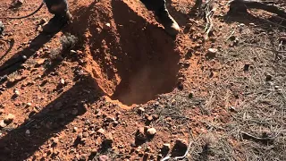 10 gram gold nugget found with Minelab GPZ 7000 Metal Detector Prospecting Western Australia