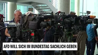 AfD will sich im Bundestag sachlich geben