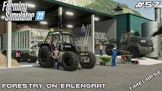 Building a Biomass Power Plant | Forestry on ERLENGRAT | Farming Simulator 22 | Episode 57