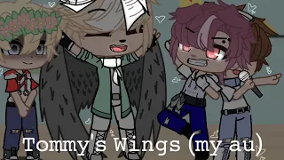 -Tommy's Wings- (my Au)