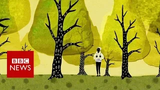 How trees secretly talk to each other - BBC News