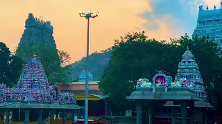 🙏Thiruvanamalai | Arunachaleshwar #arunachaleswarartemple