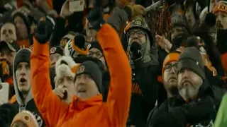 Cincinnati Bengals Fans React to Ending the 31 year Drought