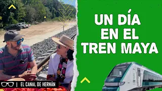 ¿El TREN MAYA está DESTRUYENDO el AMBIENTE? | Hernán Gómez