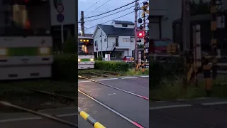 路面電車の街