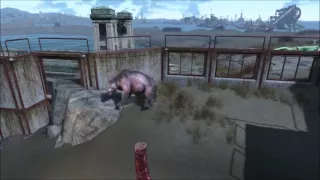 Fallout 4: The Commonwealth Zoo