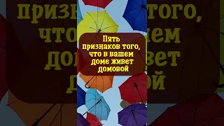 Пять признаков того, что в вашем доме живет домовой #shorts