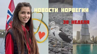 Новости Норвегии 30 неделя. Украинские беженцы на работе, Птичий грипп, Принцесса, Дубайский остров