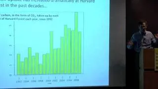 How Much Can Trees and Forests Slow the Global Warming Increase? | Challenges and Choices