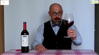 Обзор португальского вина Vinha da Valentina 2017