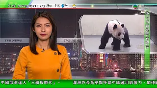 無綫10:00一小時新聞 TVB NEWS｜2022年9月24日｜大陸贈台灣動物園大熊貓團團 腦部病變曾現癲癇症狀｜美國據報最遲2030年代中向澳洲交付核潛艇｜入境處預約換護照網頁不時顯示繁忙