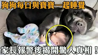 狗狗成為守護天使拒絕寶寶獨睡，家長驚覺神秘原因，立刻報警揭開驚人真相！