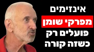 ד"ר דן קרת: שומן בטני, תנגודת לאינסולין, הרזיה, כבד שומני ואריכות ימים בבריאות