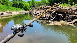 Fishing a TINY URBAN STREAM!! (Bait fishing)