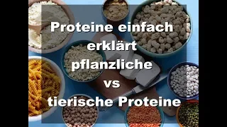 Tierische vs pflanzliche Proteine- Proteine einfach erklärt+pflanzliche Proteinquellen