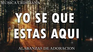 ALABANZAS PARA EXPULSAR TODO MAL DE TU VIDA - LAS CANCIÓN CRISTIANAS MAS HERMOSA DEL MUNDO 2024