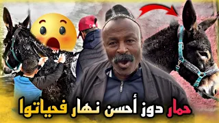 أشهر حمار في المغرب دوز أحسن نهار فحياتوا ✅ ونهاية كار—تية🫣 طاكي داك صاحبك قوليه مافيك خير 😂