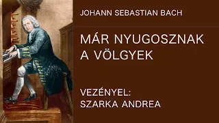 J.S.Bach: Már nyugosznak a völgyek (BWV 392)