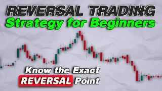 TOP Reversal Trading Strategy for Day Trading Stocks, Crypto and Forex