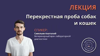 Перекрестная проба собак и кошек