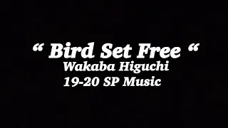 Wakaba Higuchi 19-20 SP Music “ Bird Set Free “