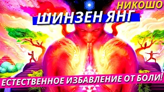 Шинзен Янг: Естественное Избавление От Боли! (Полная Аудиокнига, Читает Nikosho)