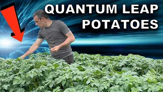 Growing Potatoes In Containers Just Took A Quantum Leap!