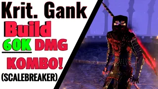 Nachtklingen Krit. Gank Build 60K Damage Kombo! [Scalebreaker]