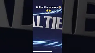 Gollini the monkey 🐵😂😂