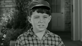 "Leave It To Beaver's" Jerry Mathers Talks About His Vietnam Era Military Service