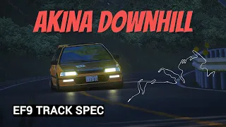 Assetto Corsa TOUGE RUN | Akina Downhill | Honda Civic EF9 Track Spec