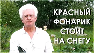 Александр Телегин читает стихи Арсения Тарковского. Красный фонарик стоит на снегу