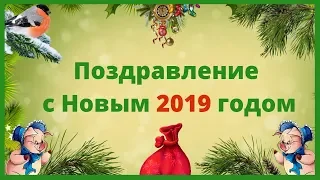 Поздравление с Новым 2019 годом! Душевные пожелания в год свиньи.