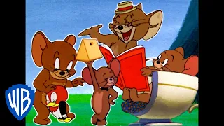 Tom & Jerry | Best of Jerry Mouse | Classic Cartoon Compilation | WB Kids