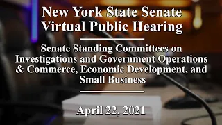 New York State Senate Joint Public Hearing - 04/22/21