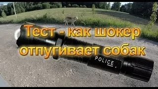 Тест - как электрошокер отпугивает собак