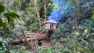 Solo Bushcraft: Complete a shelter on the roots of a giant tree. Survival in the tropical forest.