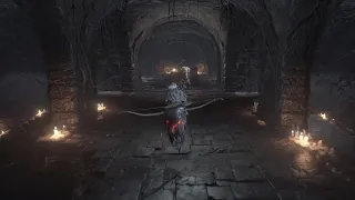 DARK SOULS. Gank ended by my hand!