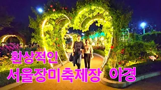 밤이 좋을까요? 낮이 좋을까요? 서울장미축제 야경 (The night view of the Seoul Rose Festival)