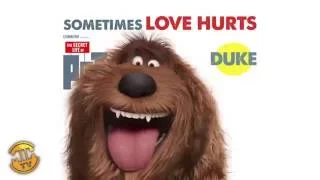 Meet Duke - The Secret Life of Pets