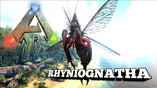 Taming A Rhyniognatha | Ark Survival Evolved | The Island