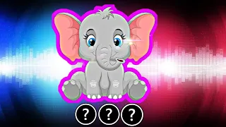🎧💥🐘15 Elephant Sound Variations in 60 Seconds