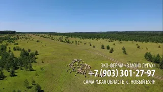 Эко ферма "В моих лугах" 2021