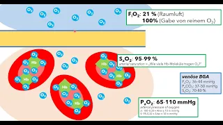 Blutgasanalyse Teil 1 - Atmung (Einführung für das Medizinstudium)