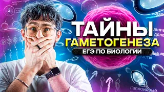 Тайны ГАМЕТОГЕНЕЗА | ЕГЭ по Биологии