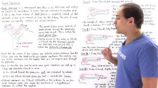 Renal Clearance, Renal Plasma Flow and Glomerular Filtration Rate