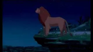 90 meters bakken - The Lion King