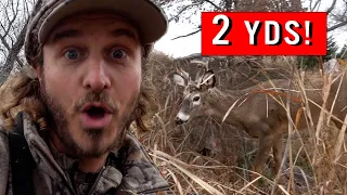 CLOSEST I'VE EVER BEEN TO A DEER! | (insane) I ALMOST TOUCHED a PUBLIC LAND BUCK! Kansas Bowhunting
